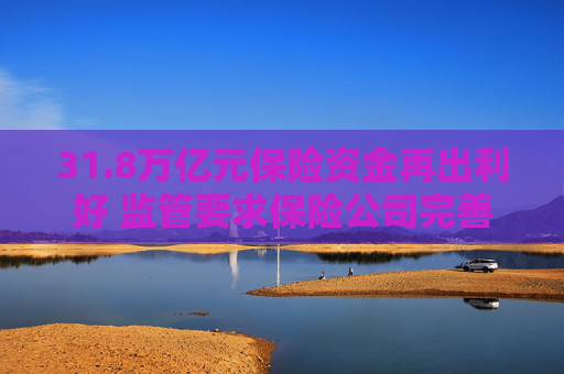 31.8万亿元保险资金再出利好 监管要求保险公司完善内部长周期考核机制  第1张