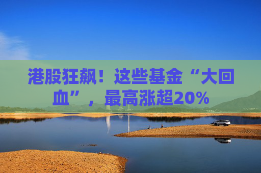 港股狂飙！这些基金“大回血”，最高涨超20%