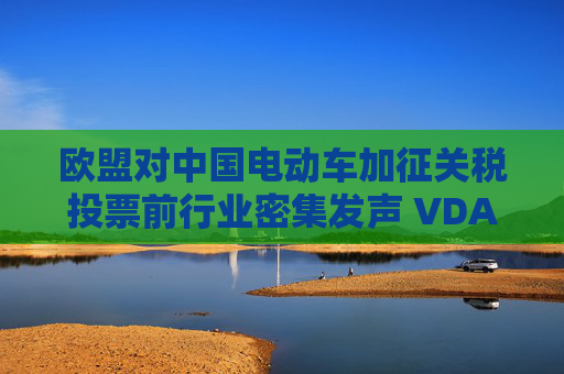 欧盟对中国电动车加征关税投票前行业密集发声 VDA：贸易保护主义将扭曲市场发展  第1张