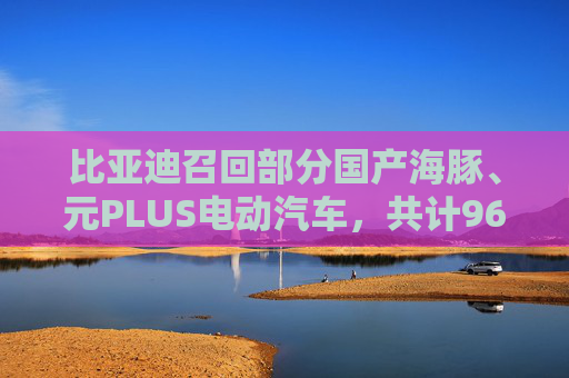 比亚迪召回部分国产海豚、元PLUS电动汽车，共计96714台