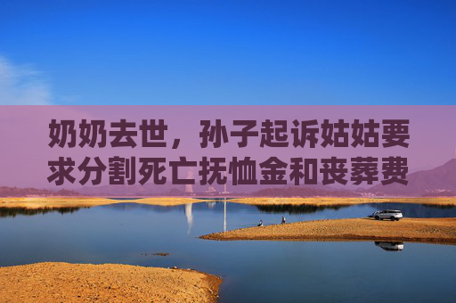 奶奶去世，孙子起诉姑姑要求分割死亡抚恤金和丧葬费被驳回  第1张