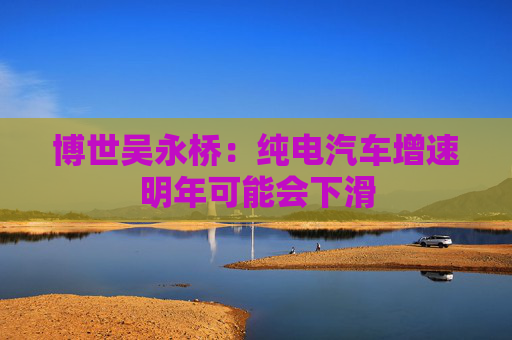 博世吴永桥：纯电汽车增速明年可能会下滑