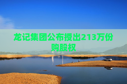 龙记集团公布授出213万份购股权