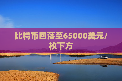 比特币回落至65000美元/枚下方