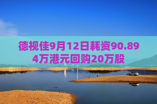 德视佳9月12日耗资90.894万港元回购20万股  第1张