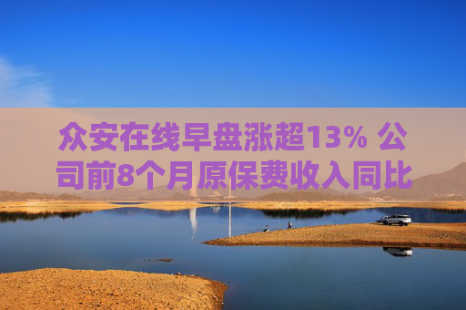 众安在线早盘涨超13% 公司前8个月原保费收入同比增长7.29%