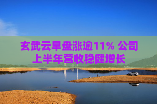 玄武云早盘涨逾11% 公司上半年营收稳健增长  第1张