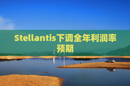 Stellantis下调全年利润率预期