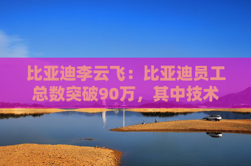 比亚迪李云飞：比亚迪员工总数突破90万，其中技术研发人员近11万  第1张