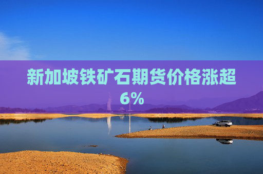 新加坡铁矿石期货价格涨超6%  第1张