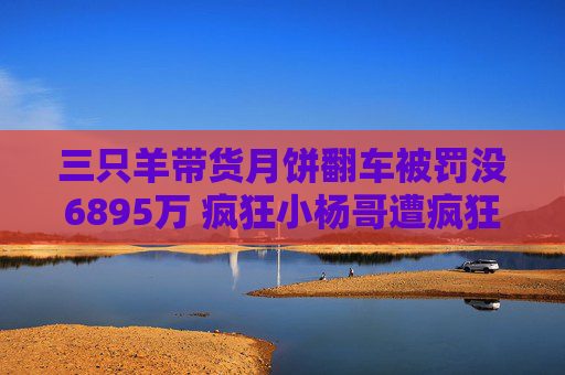 三只羊带货月饼翻车被罚没6895万 疯狂小杨哥遭疯狂反噬商业神话破灭  第1张