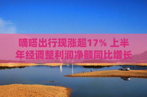 嘀嗒出行现涨超17% 上半年经调整利润净额同比增长51.3%  第1张