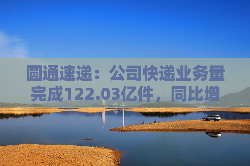 圆通速递：公司快递业务量完成122.03亿件，同比增长24.81%  第1张