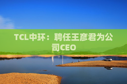 TCL中环：聘任王彦君为公司CEO  第1张