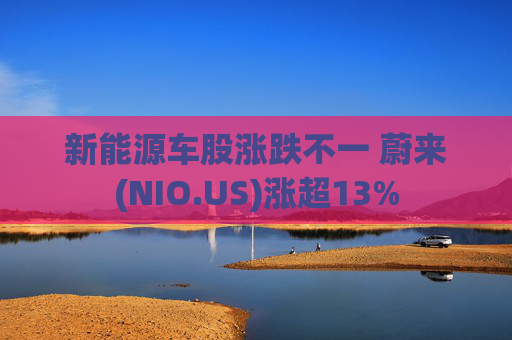 新能源车股涨跌不一 蔚来(NIO.US)涨超13%