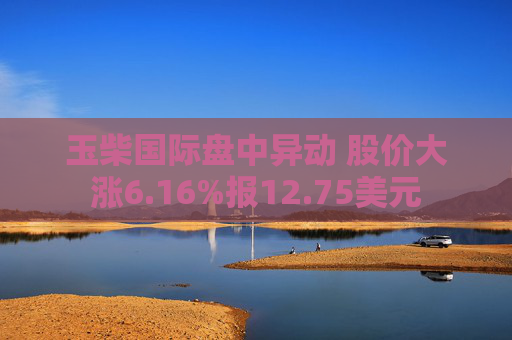 玉柴国际盘中异动 股价大涨6.16%报12.75美元  第1张