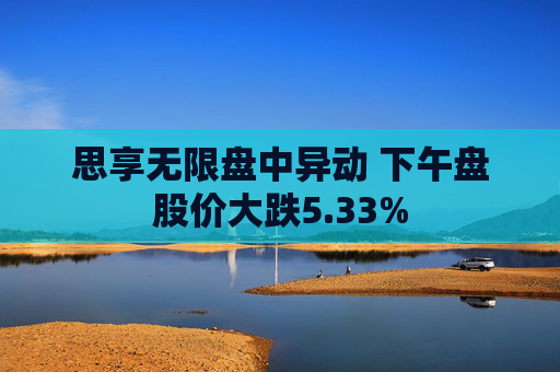 思享无限盘中异动 下午盘股价大跌5.33%