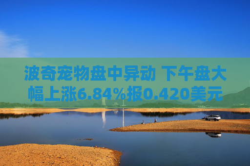 波奇宠物盘中异动 下午盘大幅上涨6.84%报0.420美元