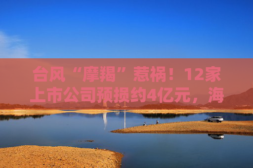 台风“摩羯”惹祸！12家上市公司预损约4亿元，海南橡胶23万亩种植园报废