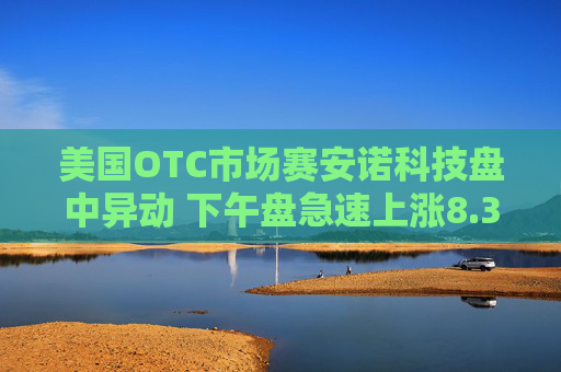 美国OTC市场赛安诺科技盘中异动 下午盘急速上涨8.37%报0.760美元  第1张