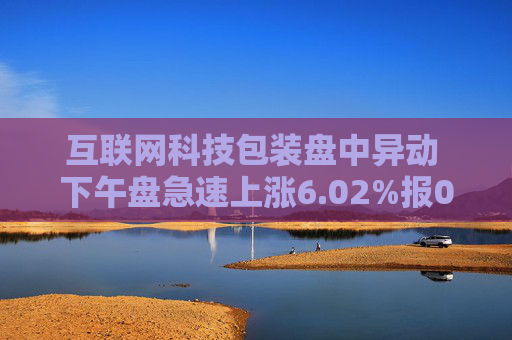 互联网科技包装盘中异动 下午盘急速上涨6.02%报0.264美元