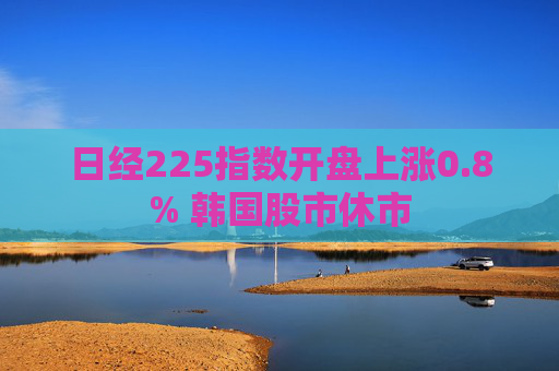 日经225指数开盘上涨0.8% 韩国股市休市  第1张