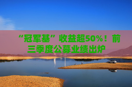 “冠军基”收益超50%！前三季度公募业绩出炉