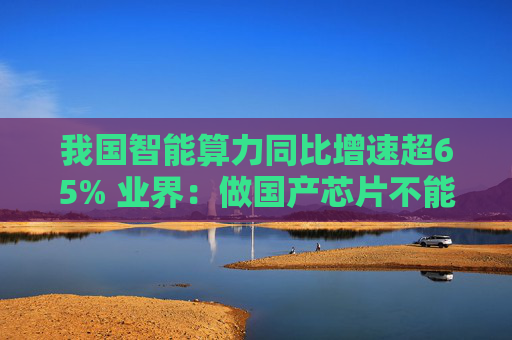 我国智能算力同比增速超65% 业界：做国产芯片不能跟市场脱节，要投入足够多的资金、时间  第1张