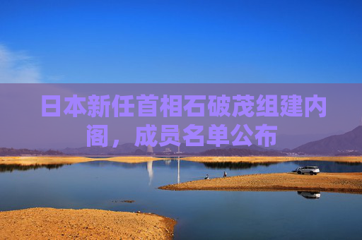 日本新任首相石破茂组建内阁，成员名单公布  第1张