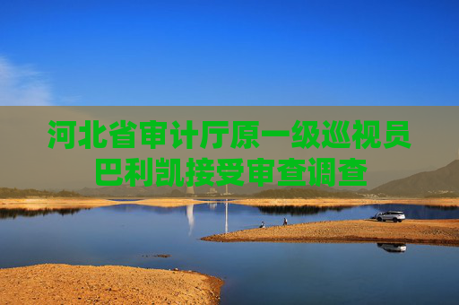 河北省审计厅原一级巡视员巴利凯接受审查调查  第1张