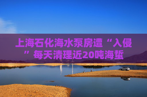 上海石化海水泵房遭“入侵”每天清理近20吨海蜇  第1张