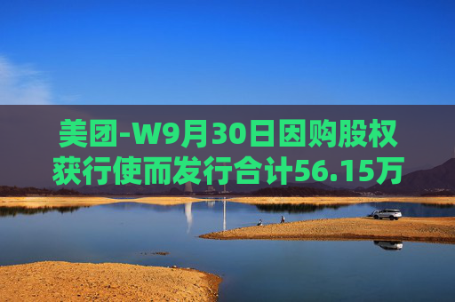 美团-W9月30日因购股权获行使而发行合计56.15万股  第1张