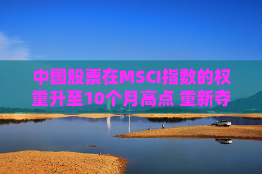 中国股票在MSCI指数的权重升至10个月高点 重新夺回新兴市场主导地位  第1张