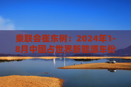 乘联会崔东树：2024年1-8月中国占世界新能源车份额67%  第1张