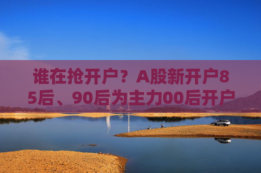 谁在抢开户？A股新开户85后、90后为主力00后开户数量明显提升  第1张