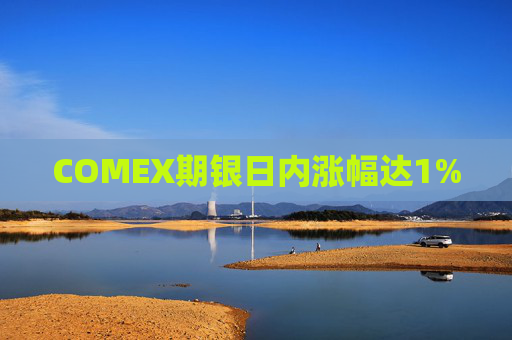 COMEX期银日内涨幅达1%