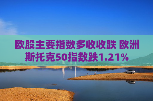 欧股主要指数多收收跌 欧洲斯托克50指数跌1.21%  第1张