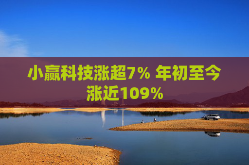 小赢科技涨超7% 年初至今涨近109%  第1张