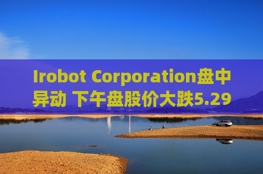 Irobot Corporation盘中异动 下午盘股价大跌5.29%报8.23美元  第1张