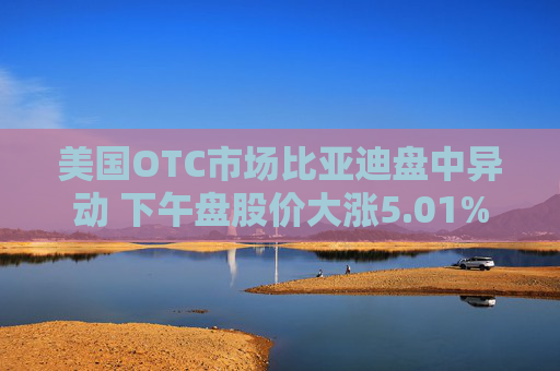 美国OTC市场比亚迪盘中异动 下午盘股价大涨5.01%  第1张