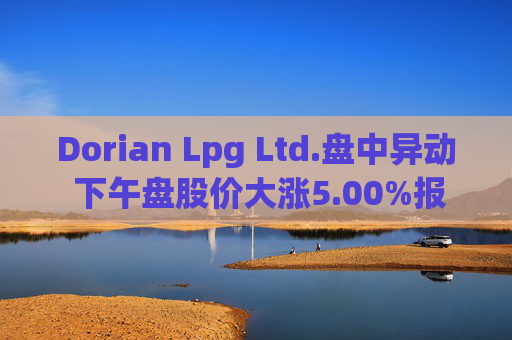 Dorian Lpg Ltd.盘中异动 下午盘股价大涨5.00%报36.14美元  第1张