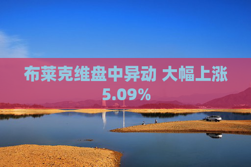 布莱克维盘中异动 大幅上涨5.09%  第1张