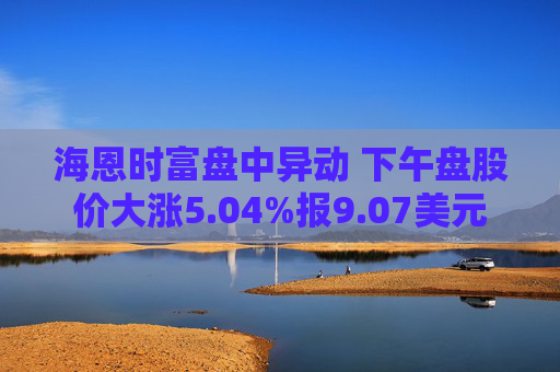 海恩时富盘中异动 下午盘股价大涨5.04%报9.07美元  第1张