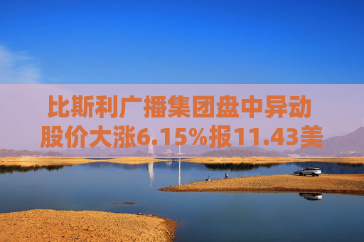 比斯利广播集团盘中异动 股价大涨6.15%报11.43美元  第1张