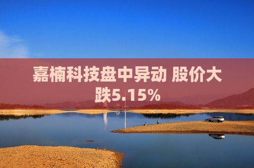 嘉楠科技盘中异动 股价大跌5.15%  第1张