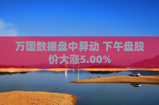 万国数据盘中异动 下午盘股价大涨5.00%