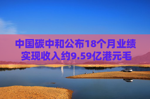 中国碳中和公布18个月业绩 实现收入约9.59亿港元毛利4990.5万港元  第1张