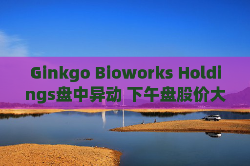 Ginkgo Bioworks Holdings盘中异动 下午盘股价大涨5.06%报8.10美元  第1张