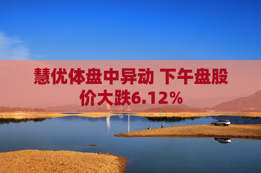 慧优体盘中异动 下午盘股价大跌6.12%