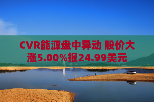 CVR能源盘中异动 股价大涨5.00%报24.99美元  第1张